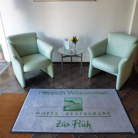 Hotel Zur Flueh Bad Säckingen Εξωτερικό φωτογραφία