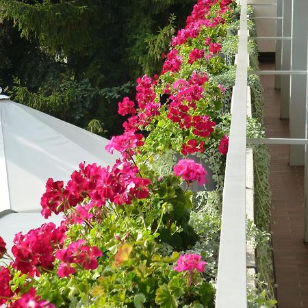 Hotel Zur Flueh Bad Säckingen Εξωτερικό φωτογραφία